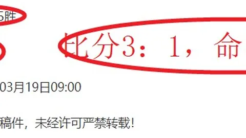 “G20外长峰会开幕，南非总统拉马福萨进行讲话”